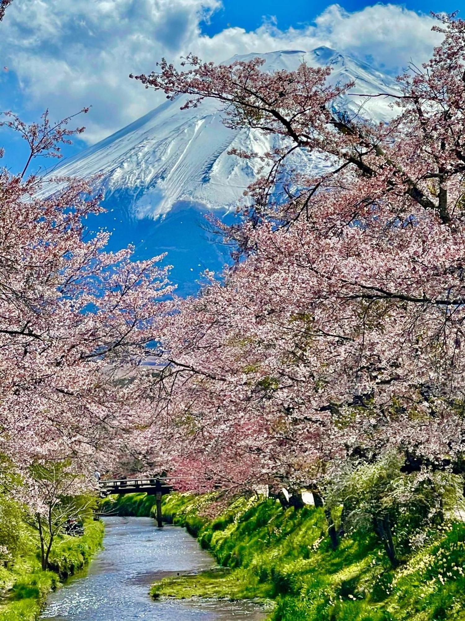 T&T Fujiyama Guest House Fudzsijosida Kültér fotó